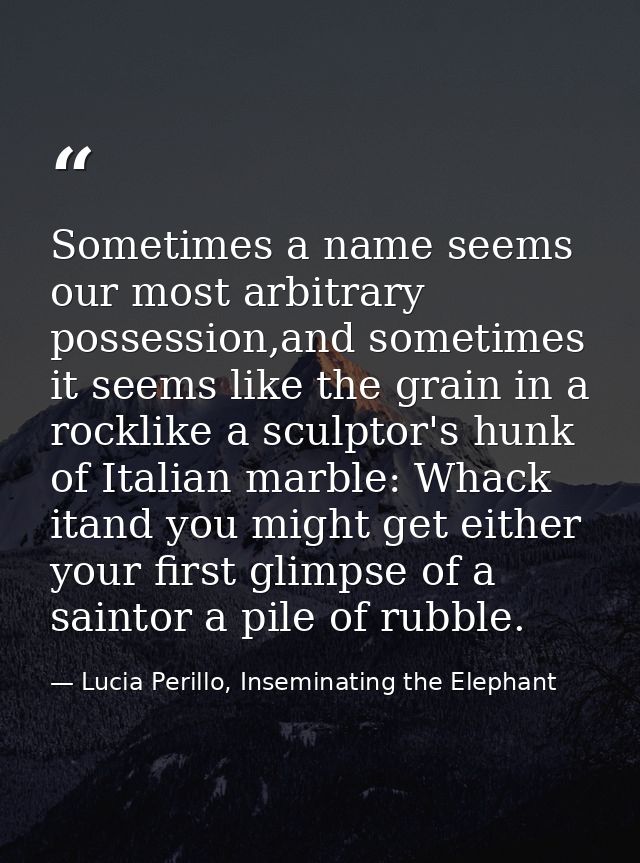 Sometimes a name seems our most arbitrary possession,and sometimes it seems like the grain in a rocklike a sculptor's hu — Lucia Perillo, Inseminating the Elephant