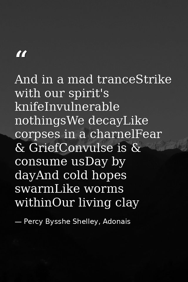 And in a mad tranceStrike with our spirit's knifeInvulnerable nothingsWe decayLike corpses in a charnelFear & GriefConvu — Percy Bysshe Shelley, Adonais
