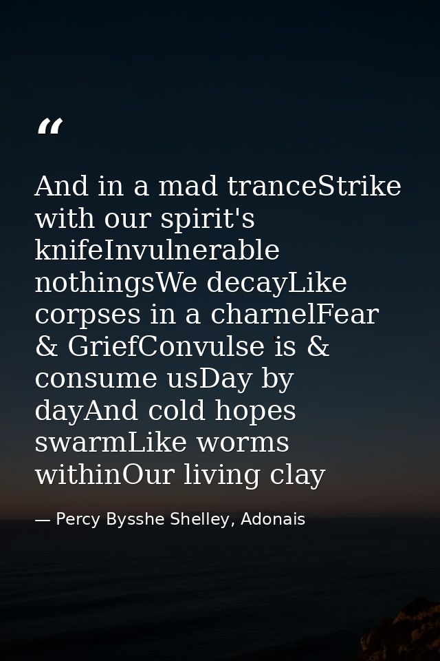 And in a mad tranceStrike with our spirit's knifeInvulnerable nothingsWe decayLike corpses in a charnelFear & GriefConvu — Percy Bysshe Shelley, Adonais
