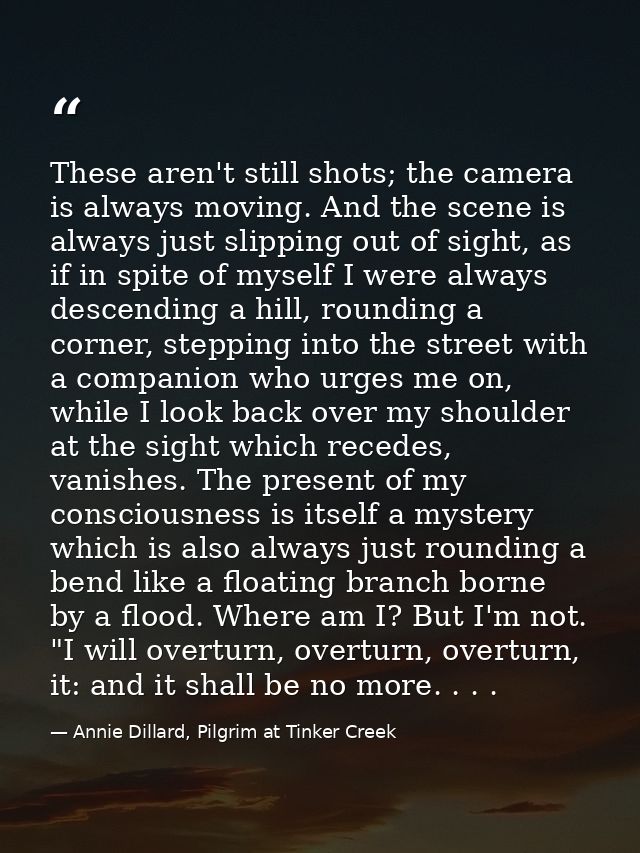 These aren't still shots; the camera is always moving. And the scene is always just slipping out of sight, as if in spit — Annie Dillard, Pilgrim at Tinker Creek