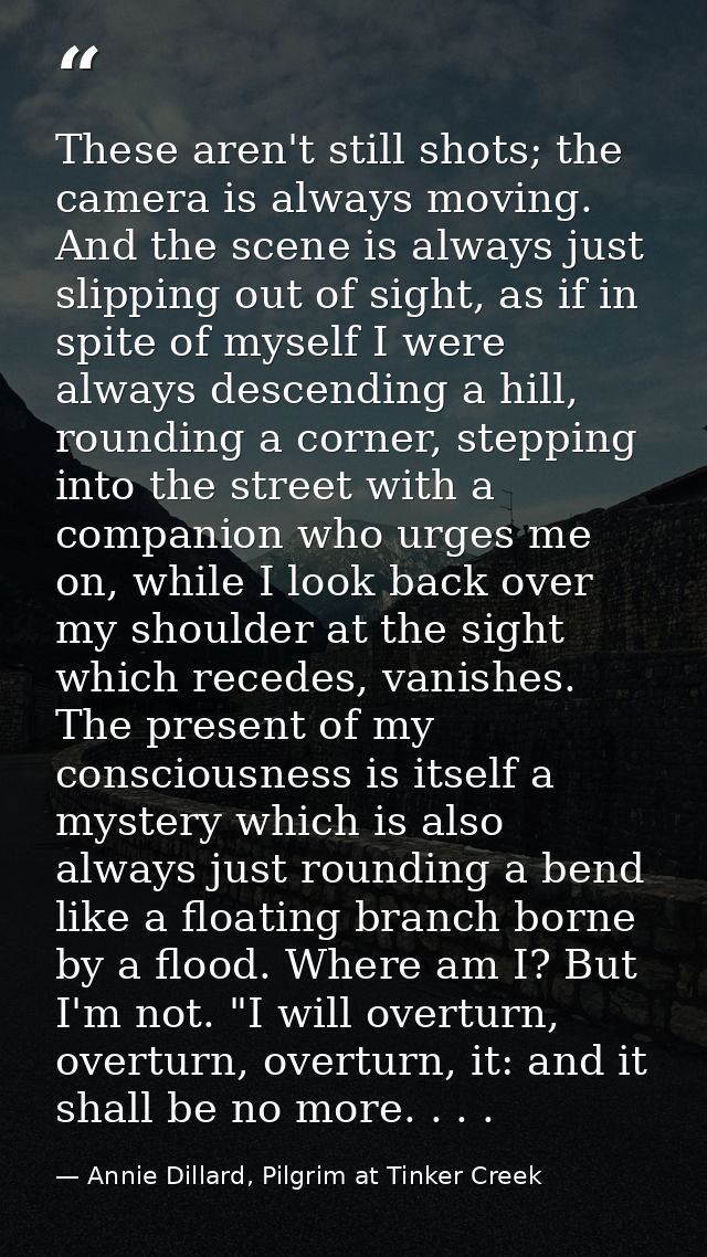 These aren't still shots; the camera is always moving. And the scene is always just slipping out of sight, as if in spit — Annie Dillard, Pilgrim at Tinker Creek