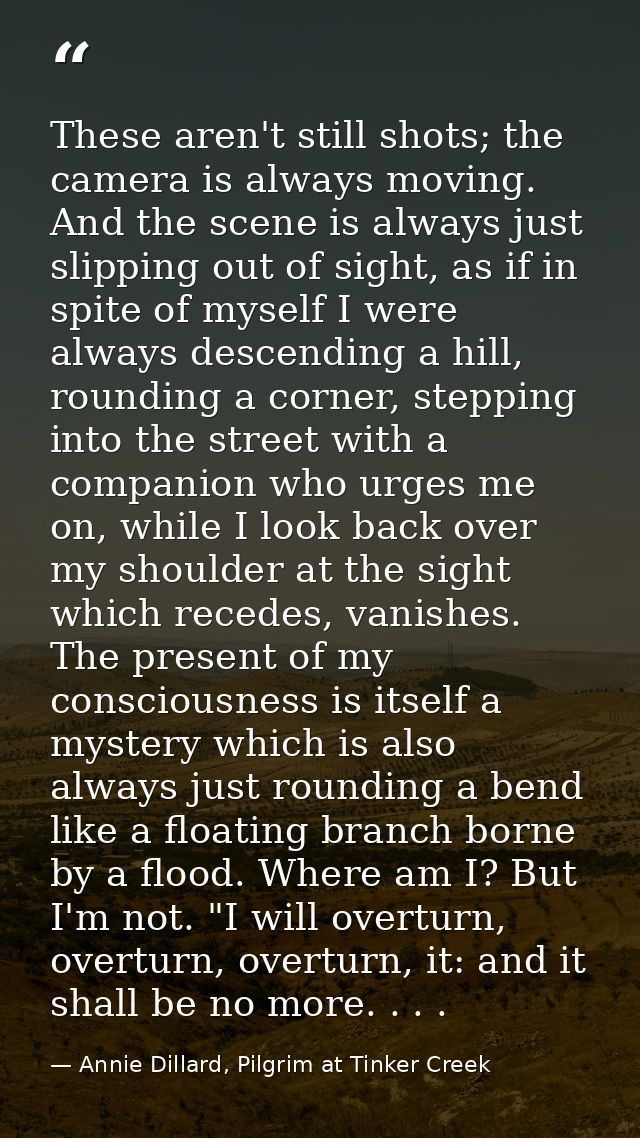 These aren't still shots; the camera is always moving. And the scene is always just slipping out of sight, as if in spit — Annie Dillard, Pilgrim at Tinker Creek