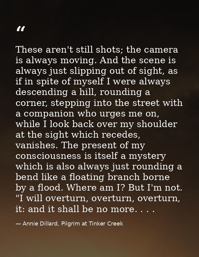 These aren't still shots; the camera is always moving. And the scene is always just slipping out of sight, as if in spit — Annie Dillard, Pilgrim at Tinker Creek