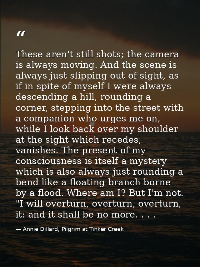 These aren't still shots; the camera is always moving. And the scene is always just slipping out of sight, as if in spit — Annie Dillard, Pilgrim at Tinker Creek