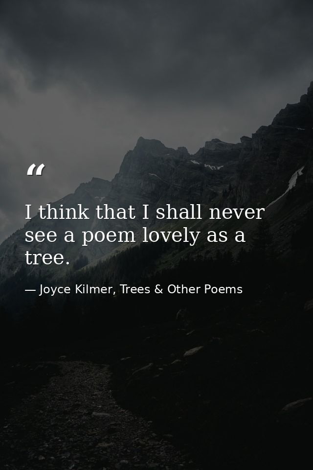 I think that I shall never see a poem lovely as a tree. — Joyce Kilmer, Trees & Other Poems