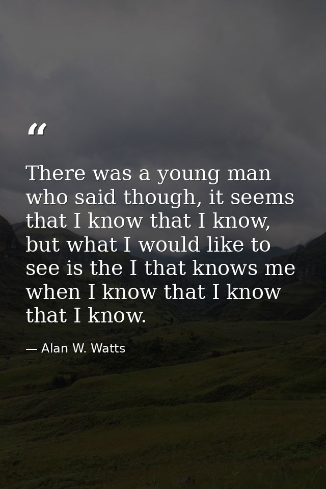 There was a young man who said though, it seems that I know that I know, but what I would like to see is the I that know — Alan W. Watts