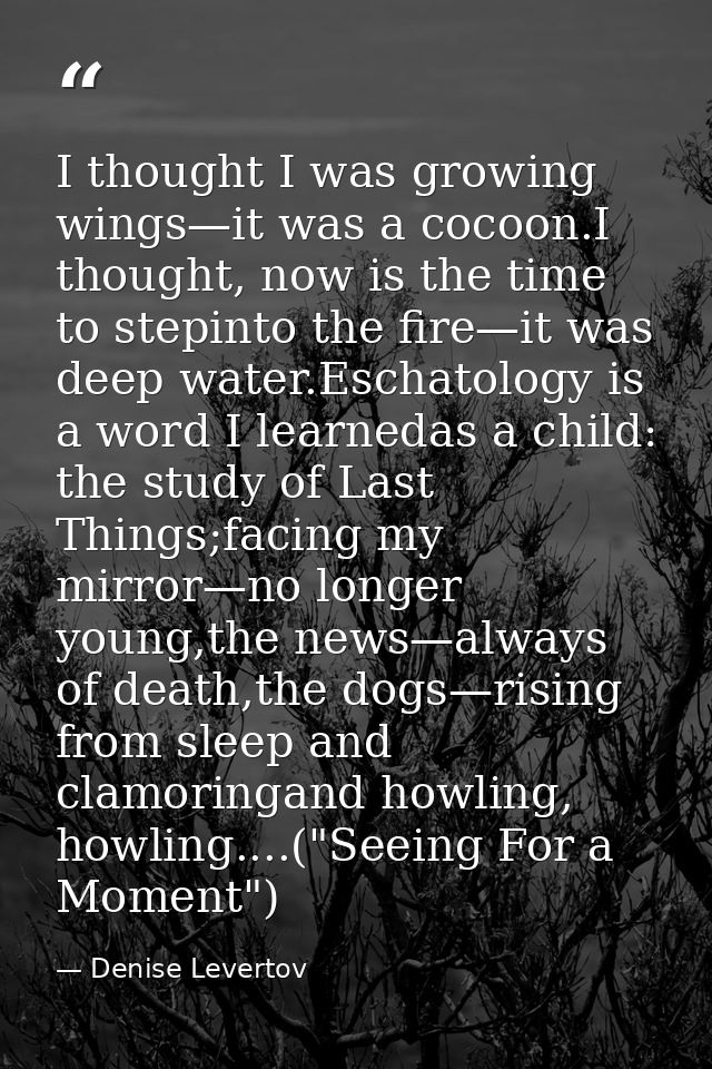 I thought I was growing wings—it was a cocoon.I thought, now is the time to stepinto the fire—it was deep water.Eschatol — Denise Levertov