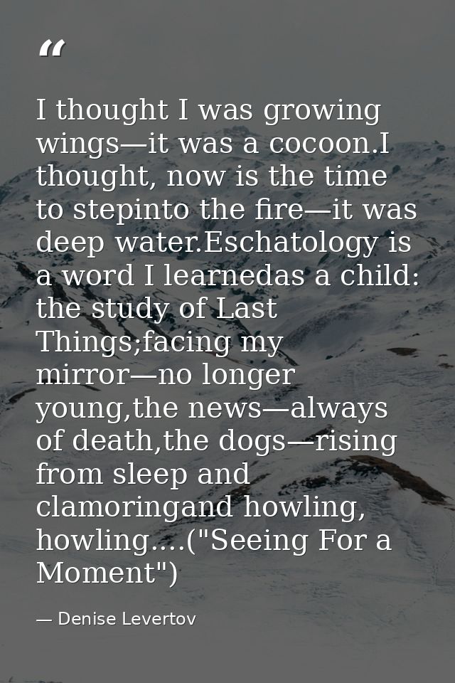 I thought I was growing wings—it was a cocoon.I thought, now is the time to stepinto the fire—it was deep water.Eschatol — Denise Levertov