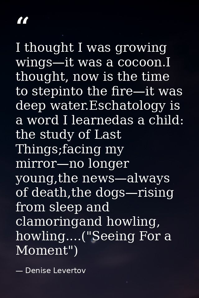 I thought I was growing wings—it was a cocoon.I thought, now is the time to stepinto the fire—it was deep water.Eschatol — Denise Levertov