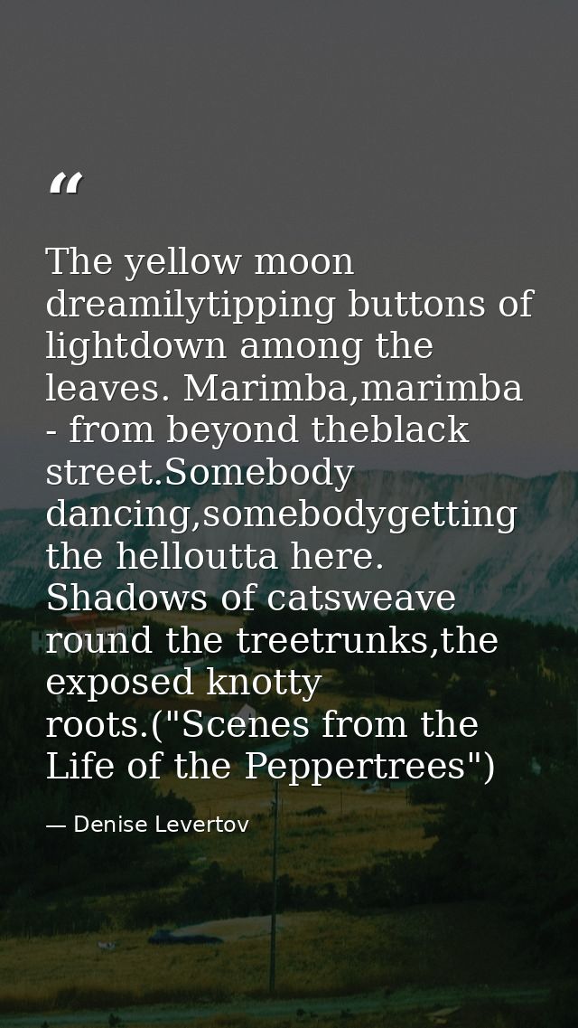 The yellow moon dreamilytipping buttons of lightdown among the leaves. Marimba,marimba - from beyond theblack street.Som — Denise Levertov