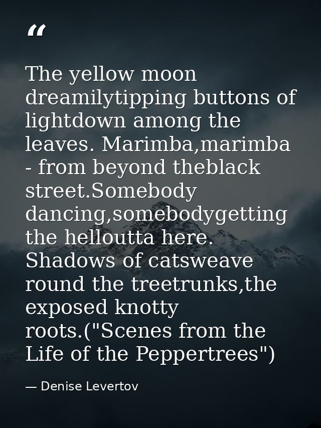 The yellow moon dreamilytipping buttons of lightdown among the leaves. Marimba,marimba - from beyond theblack street.Som — Denise Levertov
