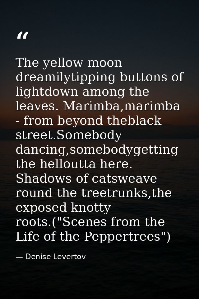 The yellow moon dreamilytipping buttons of lightdown among the leaves. Marimba,marimba - from beyond theblack street.Som — Denise Levertov