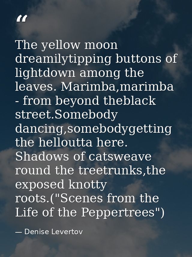 The yellow moon dreamilytipping buttons of lightdown among the leaves. Marimba,marimba - from beyond theblack street.Som — Denise Levertov