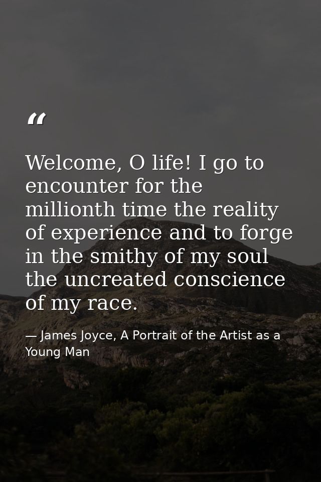 Welcome, O life! I go to encounter for the millionth time the reality of experience and to forge in the smithy of my sou — James Joyce, A Portrait of the Artist as a Young Man
