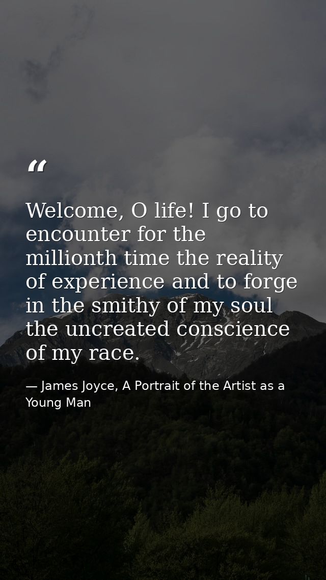 Welcome, O life! I go to encounter for the millionth time the reality of experience and to forge in the smithy of my sou — James Joyce, A Portrait of the Artist as a Young Man