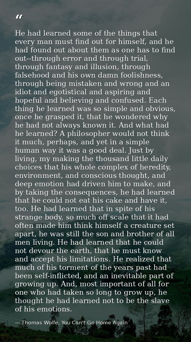 He had learned some of the things that every man must find out for himself, and he had found out about them as one has t — Thomas Wolfe, You Can't Go Home Again