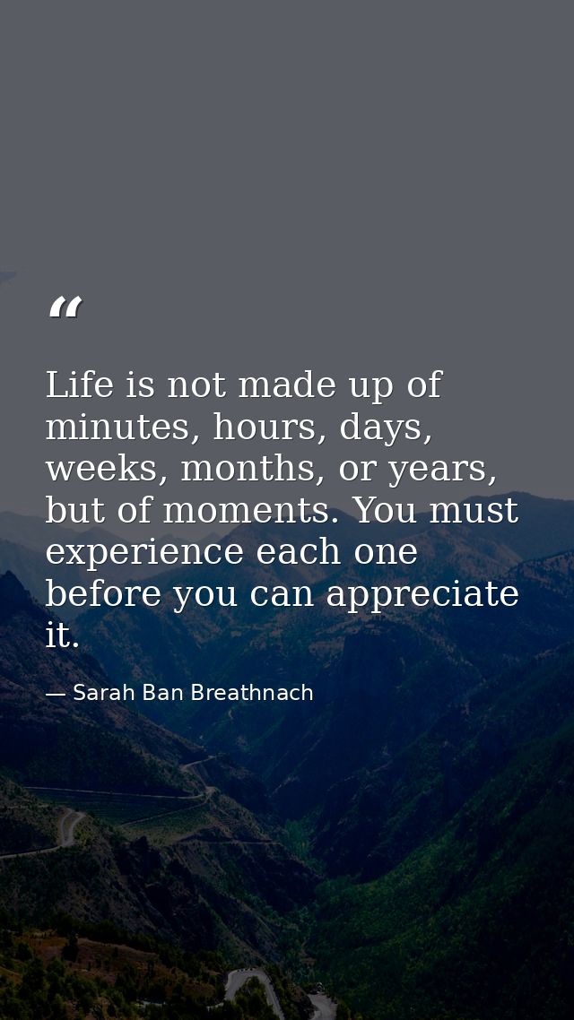 Life is not made up of minutes, hours, days, weeks, months, or years, but of moments. You must experience each one befor — Sarah Ban Breathnach