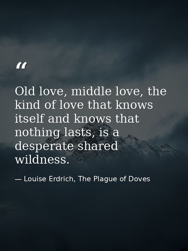 Old love, middle love, the kind of love that knows itself and knows that nothing lasts, is a desperate shared wildness. — Louise Erdrich, The Plague of Doves