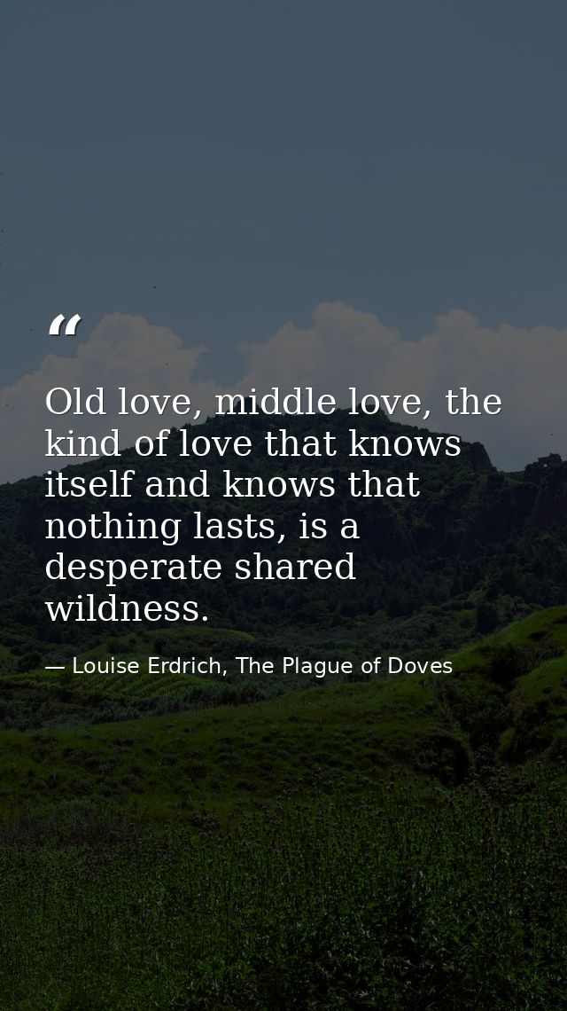 Old love, middle love, the kind of love that knows itself and knows that nothing lasts, is a desperate shared wildness. — Louise Erdrich, The Plague of Doves