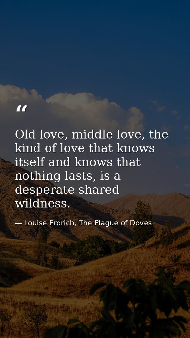 Old love, middle love, the kind of love that knows itself and knows that nothing lasts, is a desperate shared wildness. — Louise Erdrich, The Plague of Doves