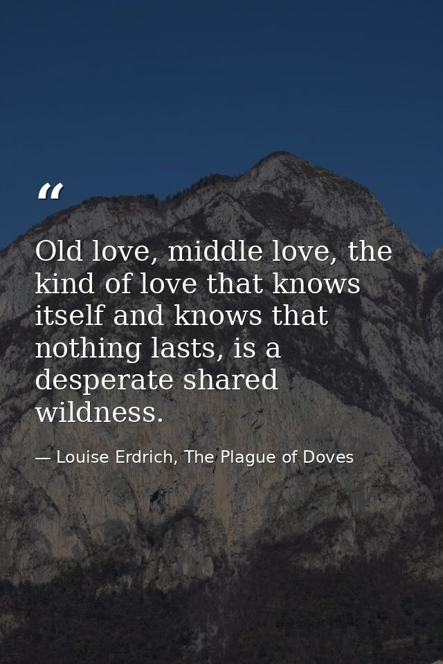 Old love, middle love, the kind of love that knows itself and knows that nothing lasts, is a desperate shared wildness. — Louise Erdrich, The Plague of Doves