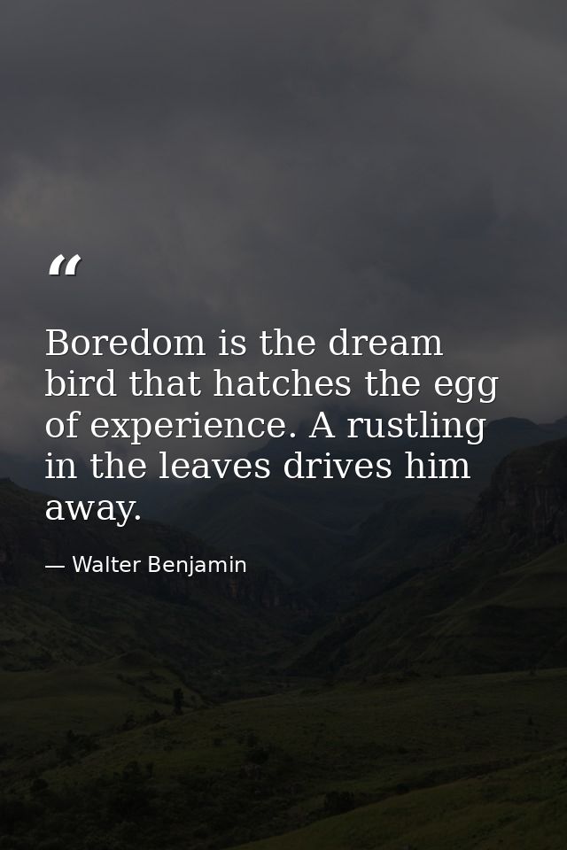Boredom is the dream bird that hatches the egg of experience. A rustling in the leaves drives him away. — Walter Benjamin