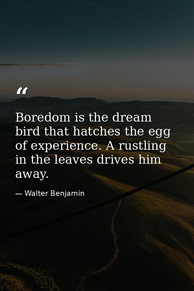 Boredom is the dream bird that hatches the egg of experience. A rustling in the leaves drives him away. — Walter Benjamin
