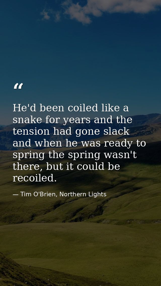 He'd been coiled like a snake for years and the tension had gone slack and when he was ready to spring the spring wasn't — Tim O'Brien, Northern Lights
