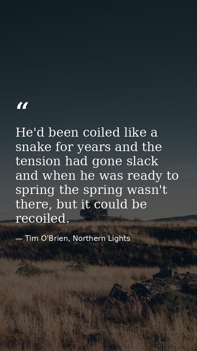 He'd been coiled like a snake for years and the tension had gone slack and when he was ready to spring the spring wasn't — Tim O'Brien, Northern Lights