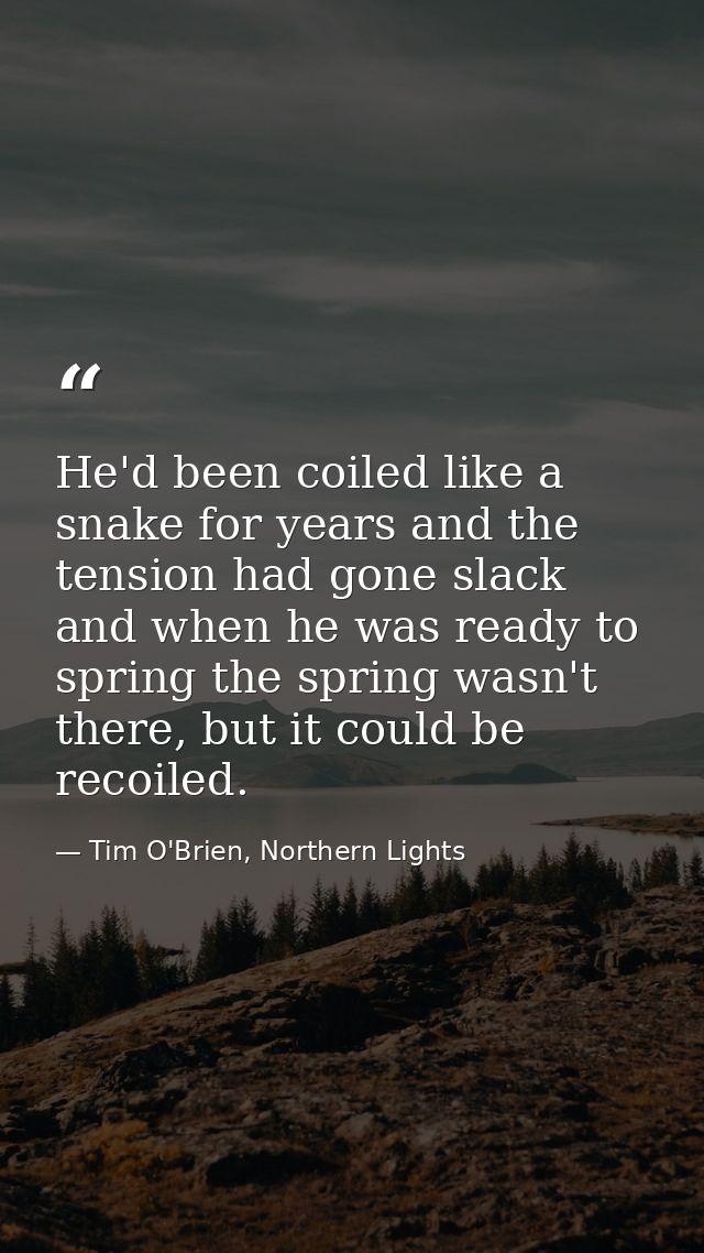 He'd been coiled like a snake for years and the tension had gone slack and when he was ready to spring the spring wasn't — Tim O'Brien, Northern Lights