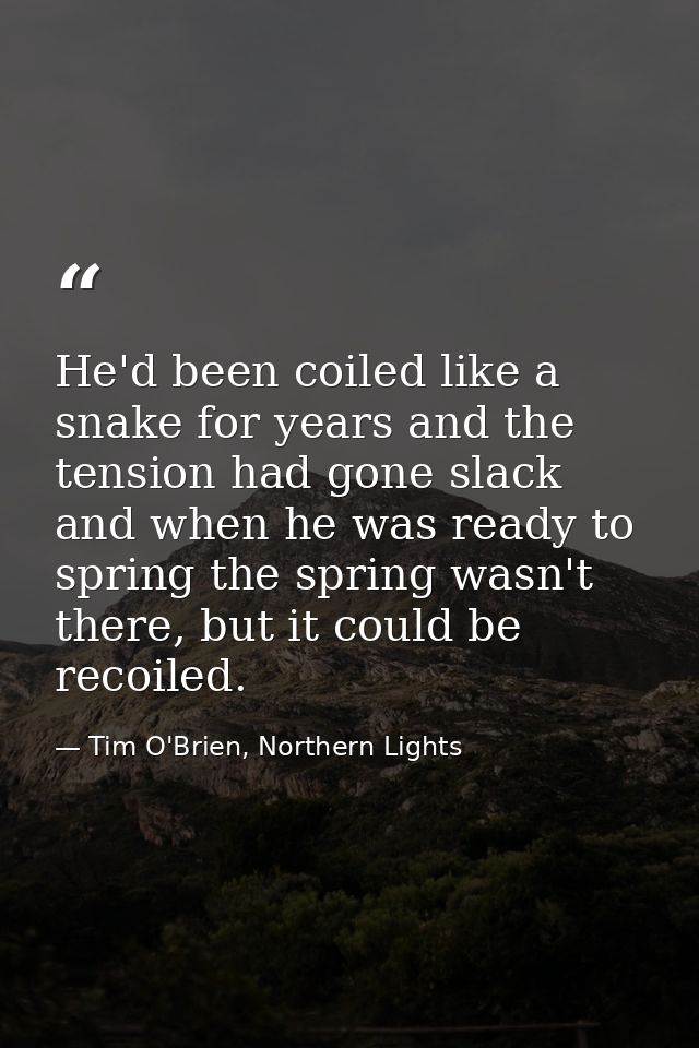 He'd been coiled like a snake for years and the tension had gone slack and when he was ready to spring the spring wasn't — Tim O'Brien, Northern Lights