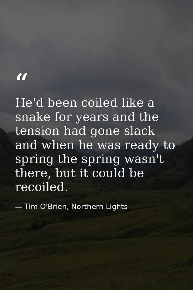 He'd been coiled like a snake for years and the tension had gone slack and when he was ready to spring the spring wasn't — Tim O'Brien, Northern Lights