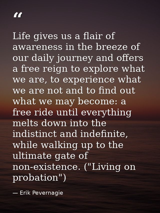 Life gives us a flair of awareness in the breeze of our daily journey and offers a free reign to explore what we are, to — Erik Pevernagie