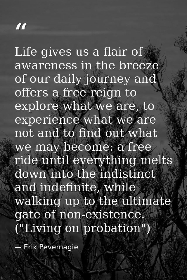 Life gives us a flair of awareness in the breeze of our daily journey and offers a free reign to explore what we are, to — Erik Pevernagie