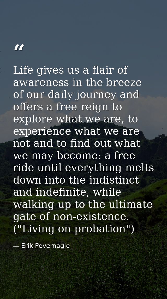 Life gives us a flair of awareness in the breeze of our daily journey and offers a free reign to explore what we are, to — Erik Pevernagie