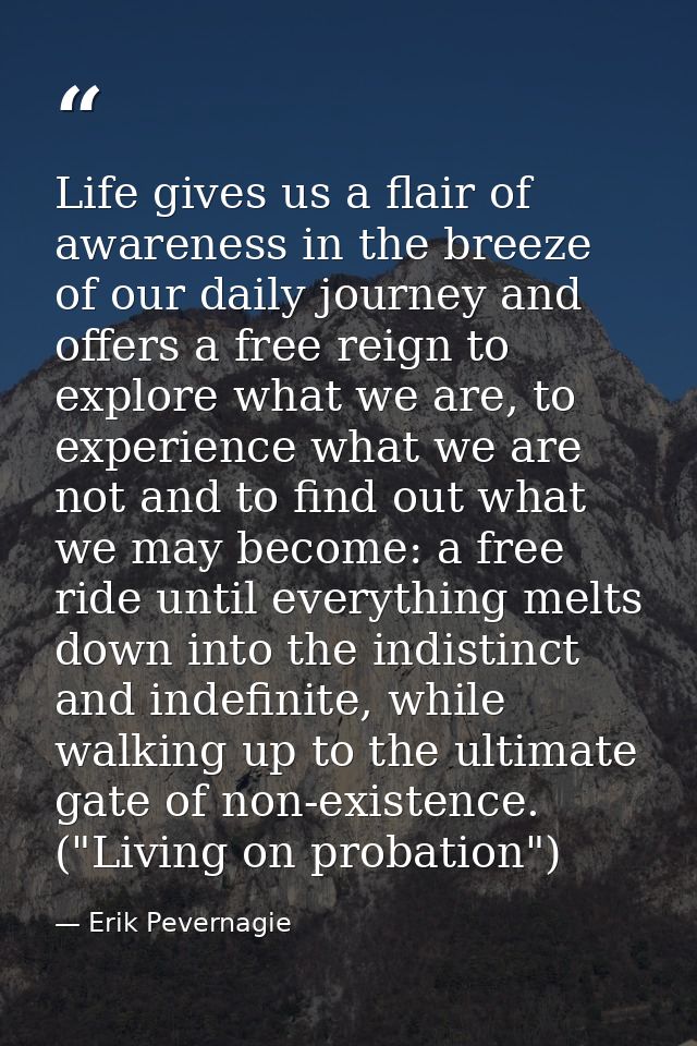 Life gives us a flair of awareness in the breeze of our daily journey and offers a free reign to explore what we are, to — Erik Pevernagie
