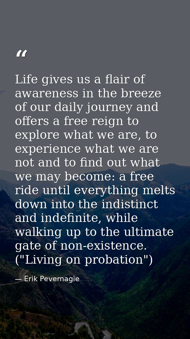 Life gives us a flair of awareness in the breeze of our daily journey and offers a free reign to explore what we are, to — Erik Pevernagie