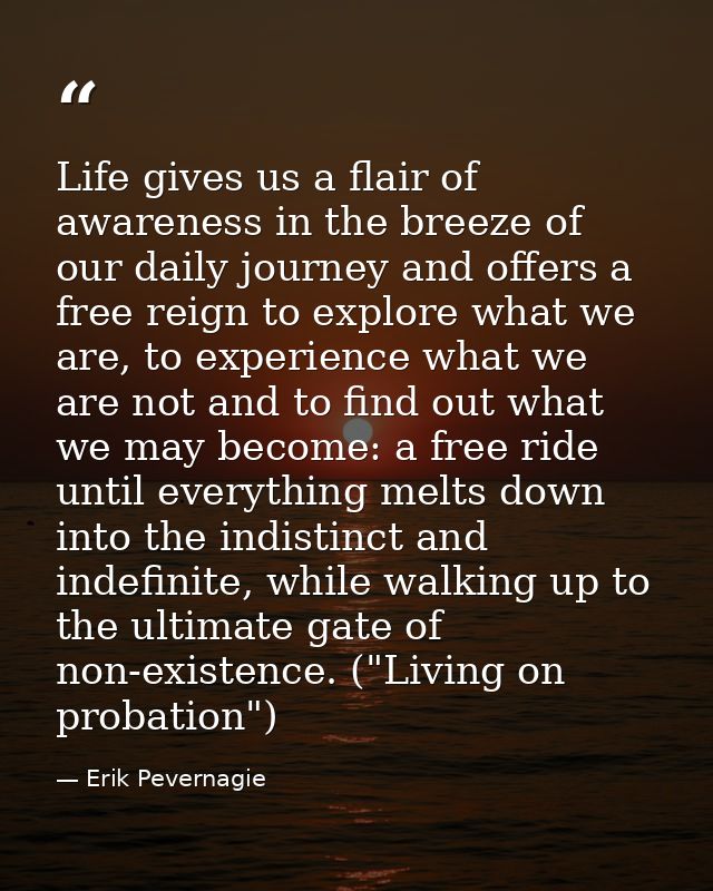 Life gives us a flair of awareness in the breeze of our daily journey and offers a free reign to explore what we are, to — Erik Pevernagie