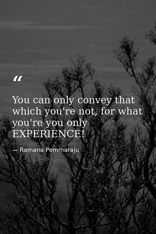 You can only convey that which you're not, for what you're you only EXPERIENCE! — Ramana Pemmaraju