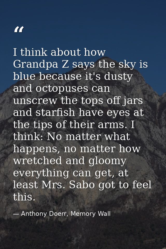 I think about how Grandpa Z says the sky is blue because it's dusty and octopuses can unscrew the tops off jars and star — Anthony Doerr, Memory Wall