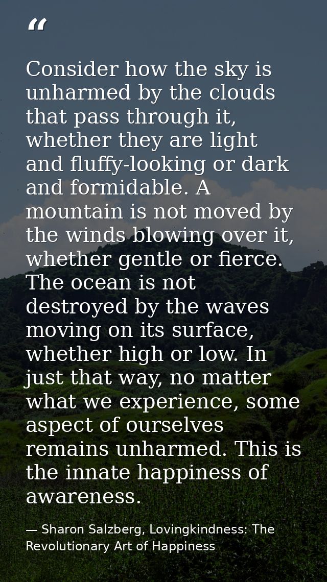 Consider how the sky is unharmed by the clouds that pass through it, whether they are light and fluffy-looking or dark a — Sharon Salzberg, Lovingkindness: The Revolutionary Art of Happiness
