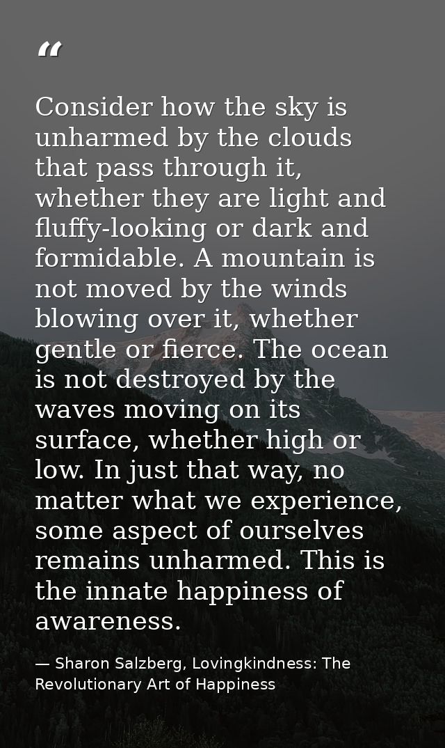 Consider how the sky is unharmed by the clouds that pass through it, whether they are light and fluffy-looking or dark a — Sharon Salzberg, Lovingkindness: The Revolutionary Art of Happiness