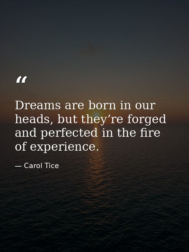 Dreams are born in our heads, but they’re forged and perfected in the fire of experience. — Carol Tice