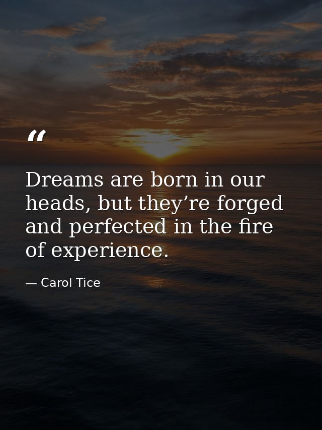 Dreams are born in our heads, but they’re forged and perfected in the fire of experience. — Carol Tice