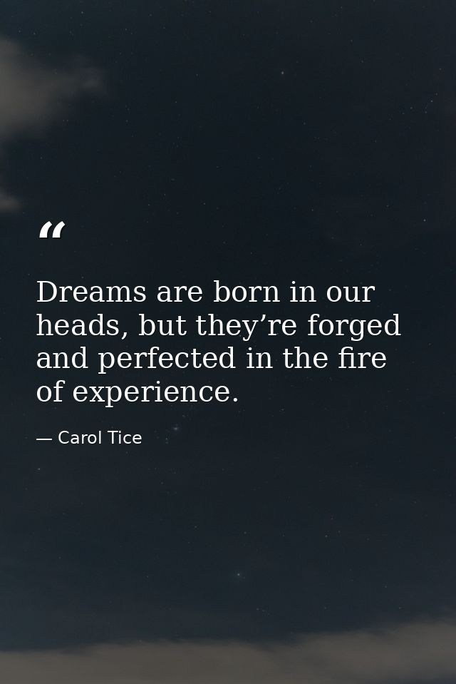 Dreams are born in our heads, but they’re forged and perfected in the fire of experience. — Carol Tice