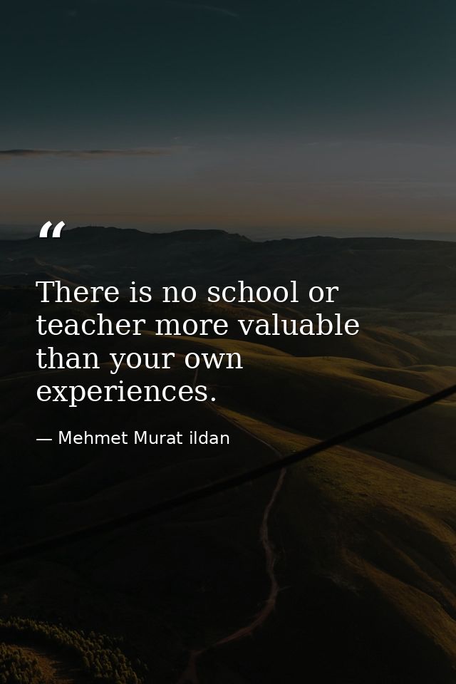 There is no school or teacher more valuable than your own experiences. — Mehmet Murat ildan