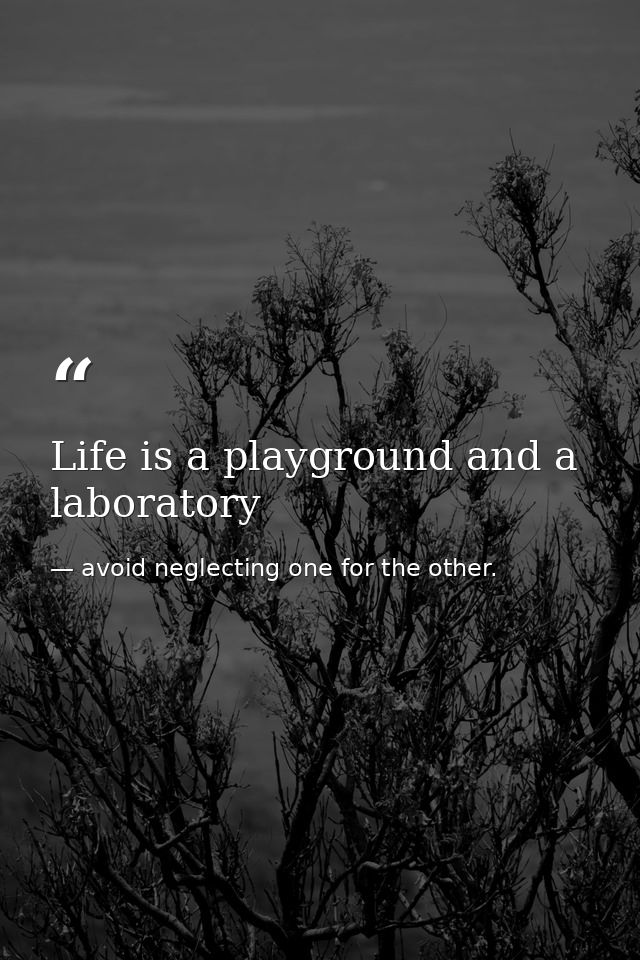 Life is a playground and a laboratory — avoid neglecting one for the other.