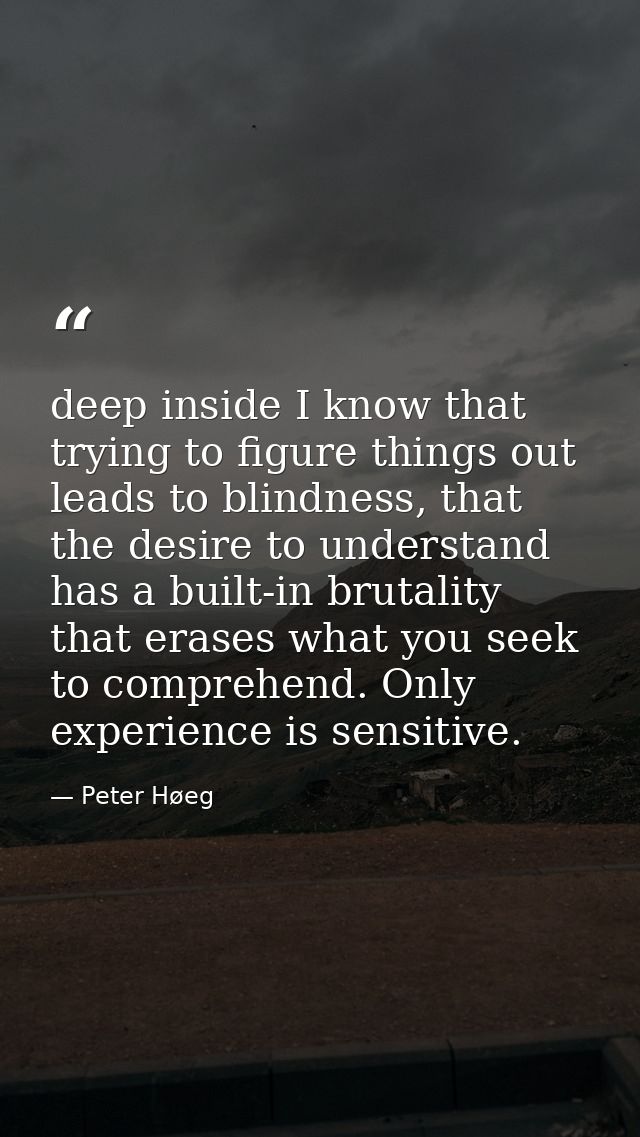 deep inside I know that trying to figure things out leads to blindness, that the desire to understand has a built-in bru — Peter Høeg