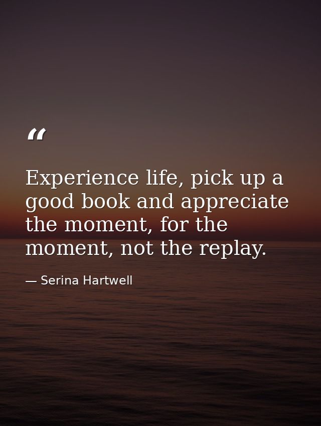 Experience life, pick up a good book and appreciate the moment, for the moment, not the replay. — Serina Hartwell