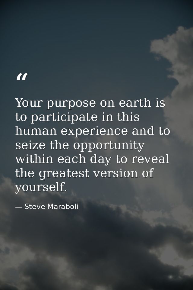 Your purpose on earth is to participate in this human experience and to seize the opportunity within each day to reveal  — Steve Maraboli
